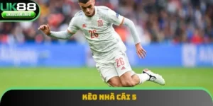 Kèo Nhà Cái 5 - Công Cụ Đầy Hữu Ích Cho Mọi Bet Thủ