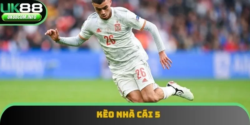 Kèo Nhà Cái 5 - Công Cụ Đầy Hữu Ích Cho Mọi Bet Thủ